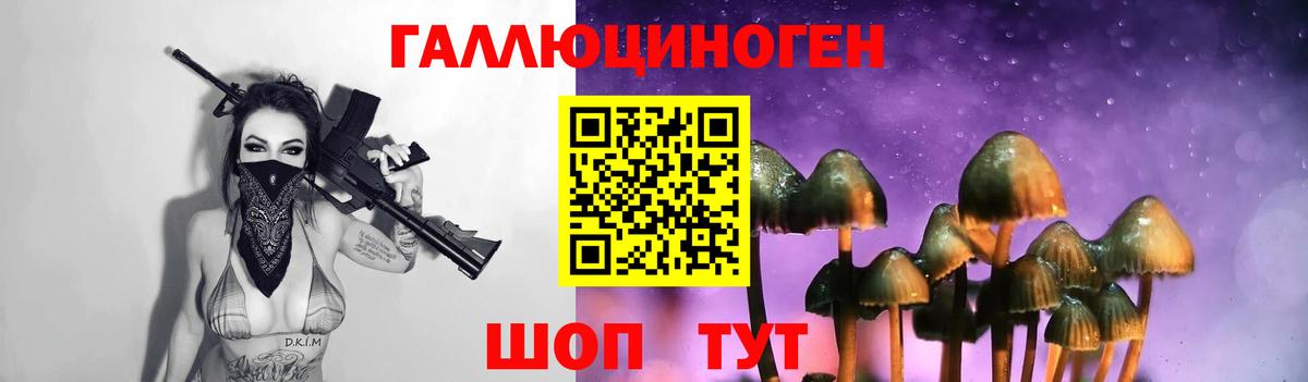 Псилоцибиновые грибы GOLDEN TEACHER  Вход с VPN  Котельники 